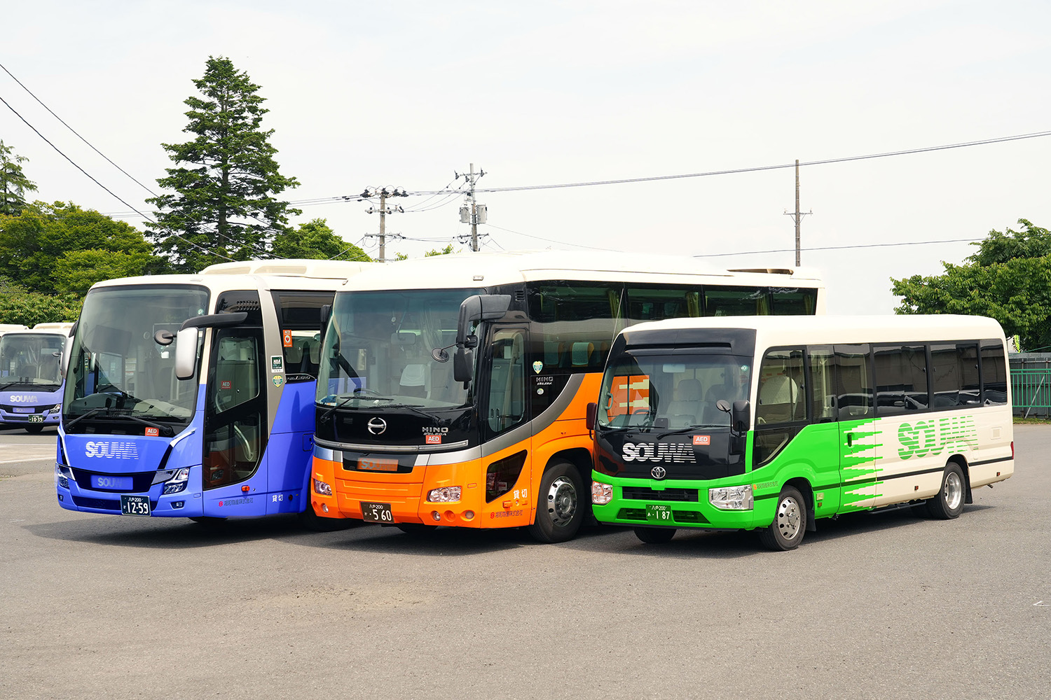 特大ヴィンテージ！　当時物　はとバス　新日本観光株式会社 HatoBus Tour: Reform of WorkingStyle & Rediscovery of
